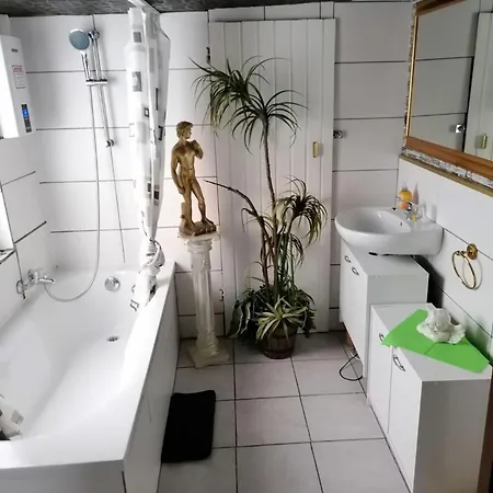 Sauerland House Holiday home Olsberg