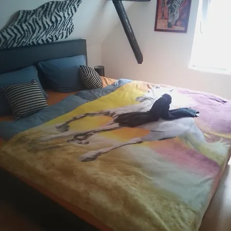 Sauerland House * Olsberg