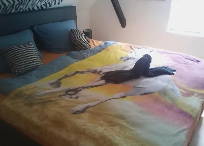 Sauerland House * Olsberg