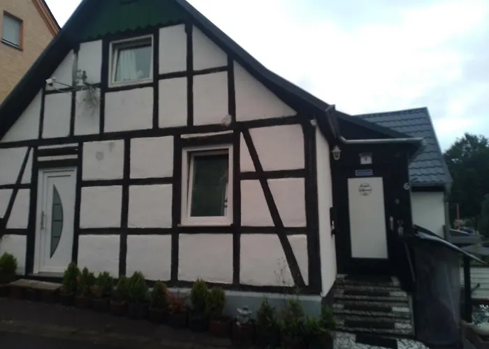 Sauerland House Tatil Evi Olsberg